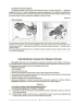 Пізнаємо природу. 5 клас. Мій конспект. Матеріали до уроків - фото 7