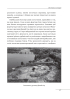 Перлини в степу. Розмови про минуле українського Півдня - фото 17