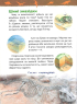 Моя перша енциклопедія. Динозаври - фото 5