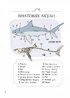 Анатомія океану. Неймовірні місця та частини світу, сховані під водою - фото 3