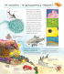 Чому? Чого? Навіщо? Досліджуємо морських тварин. 4-7 років - фото 5