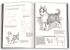Все про малювання. Понад 200 технік, уроків і порад для художників-початківців - фото 3