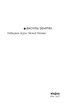Лебедина зграя. Зелені млини (Неканонічний канон) - фото 3