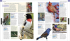 The Definitive Visual Guide: Bird - фото 14