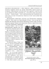 Усі гетьмани України. Легенди. Міфи. Біографії (Великий науковий проект) - фото 13