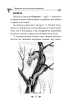 Українська міфологія. Тваринна та рослинна символіка - фото 11