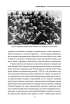 Перемога або смерть. Український визвольний рух у 1939-1960 роках (оновл. вид.) - фото 6