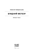 Блудний метеор. Вибрані твори - фото 2