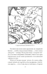 Історичні нариси. Історія України (до кінця XVI століття). Два гетьмани. Гуцули і Гуцульщина (Рідне) - фото 6