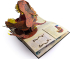 Encyclopedia Prehistorica Dinosaurs (A Pop-Up Book) - фото 2