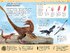 1,000 Amazing Dinosaur Facts - фото 4