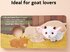 Baby Goat Finger Puppet Book - фото 3