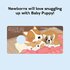 Baby Puppy: Finger Puppet Book - фото 3