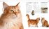 The Cat Encyclopedia: The Definitive Visual Guide - фото 10