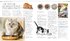 The Cat Encyclopedia: The Definitive Visual Guide - фото 11