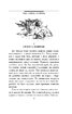 Білий зуб (Шкільна бібліотека української та світової літератури (міні)) - фото 3