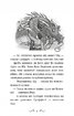 Володарі драконів. Книга 3. Таємниця Водяної дракониці - фото 4