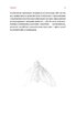 Первісне зло. Збірка містичних оповідань. Частина 1 - фото 6