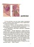 Унікальні українські речі, що подолали час. Розповіді для дітей - фото 9