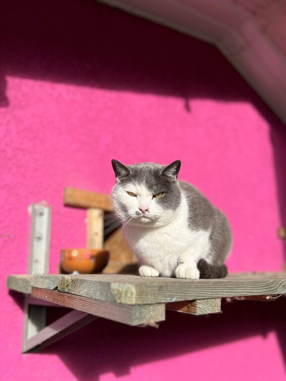 Virlya Rest & Fishing Club фото 15