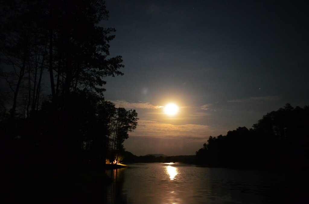 Virlya Rest & Fishing Club фото 25