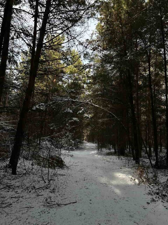 Virlya Rest & Fishing Club фото 8