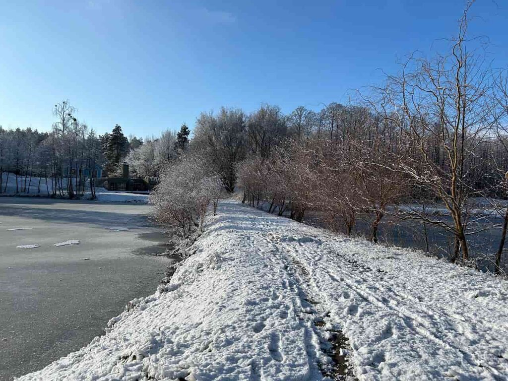 Virlya Rest & Fishing Club фото 5