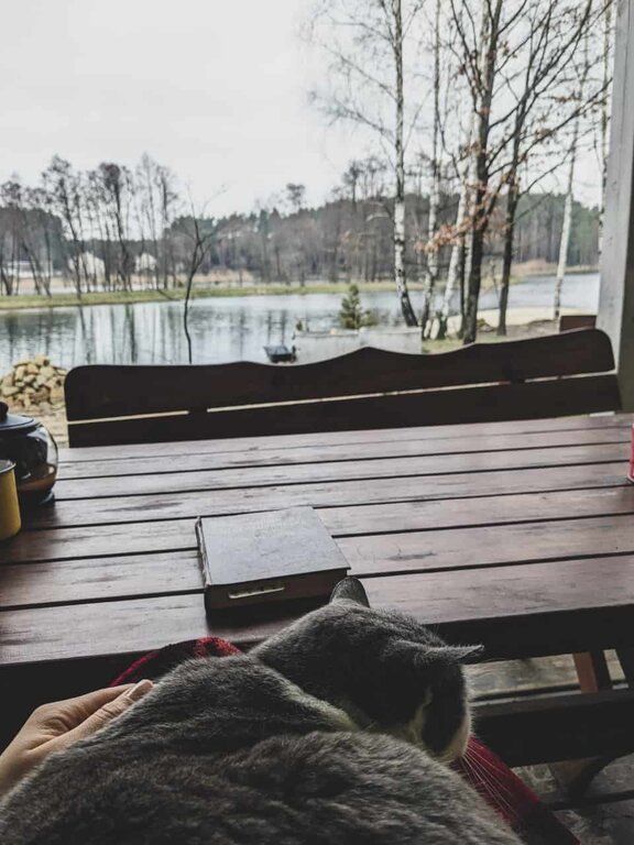 Virlya Rest & Fishing Club фото 17