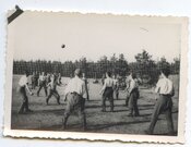 Весна 1941 р. Бійці «Нахтіґалю» грають у волейбол (АЦДВР)
