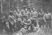 Повстанський загін (АЦДВР)